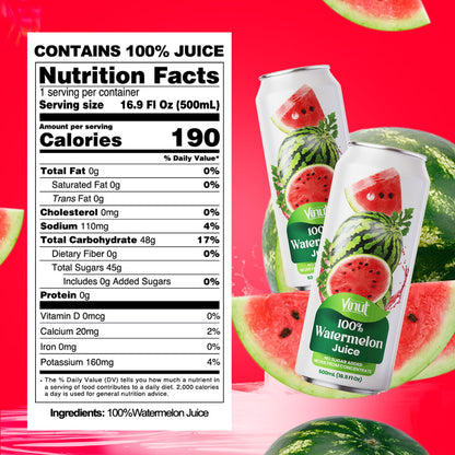 Vinut 100% Watermelon Juice – Pack of 12 Cans (11.15 fl oz)