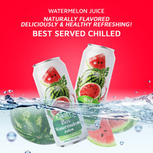 Vinut 100% Watermelon Juice – Pack of 12 Cans (11.15 fl oz)