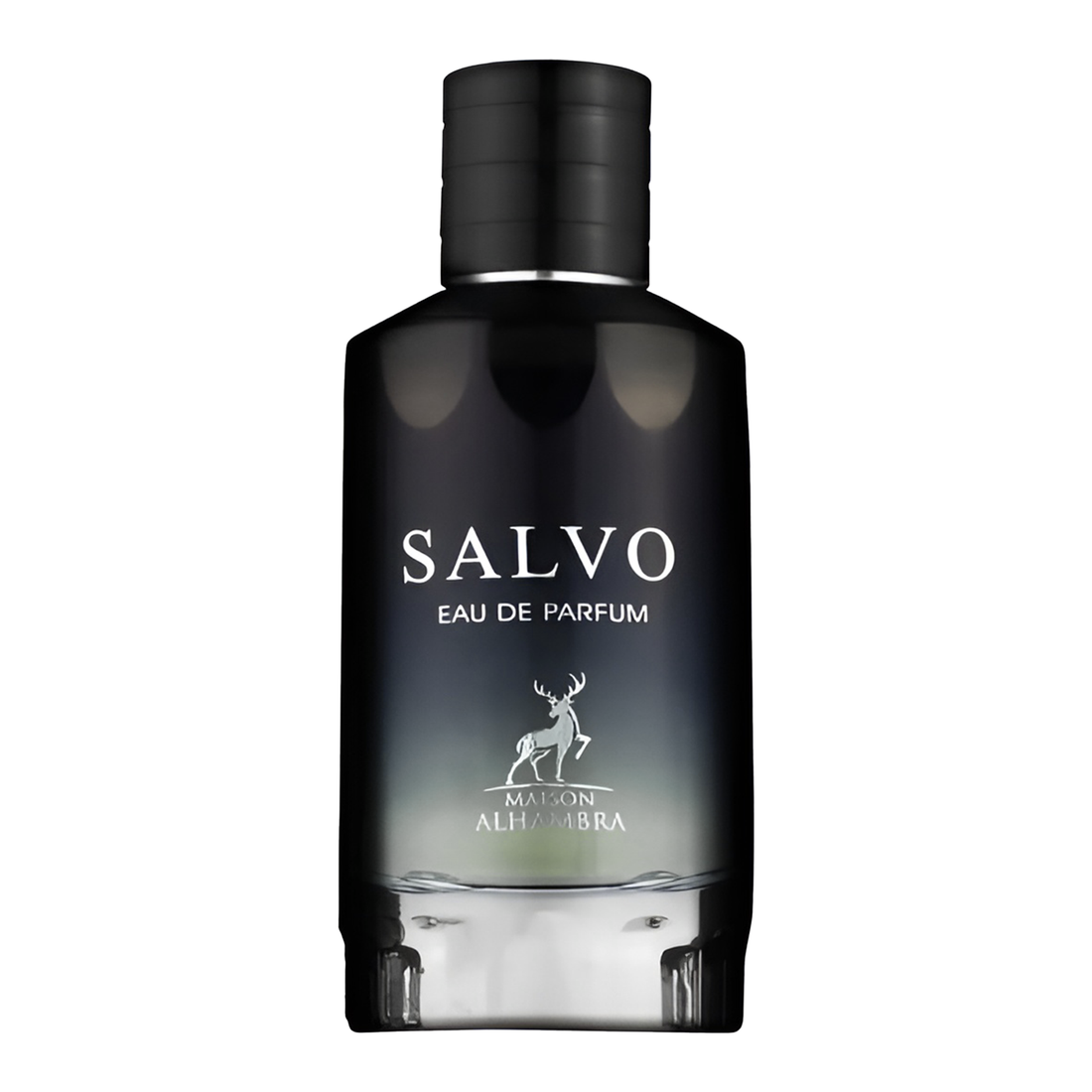 Salvo for Men